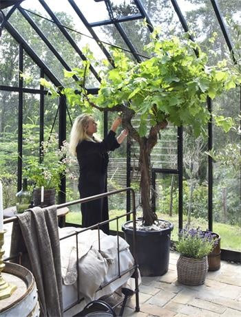 Sommerliche Außenbereiche von Jeanne d'Arc Living