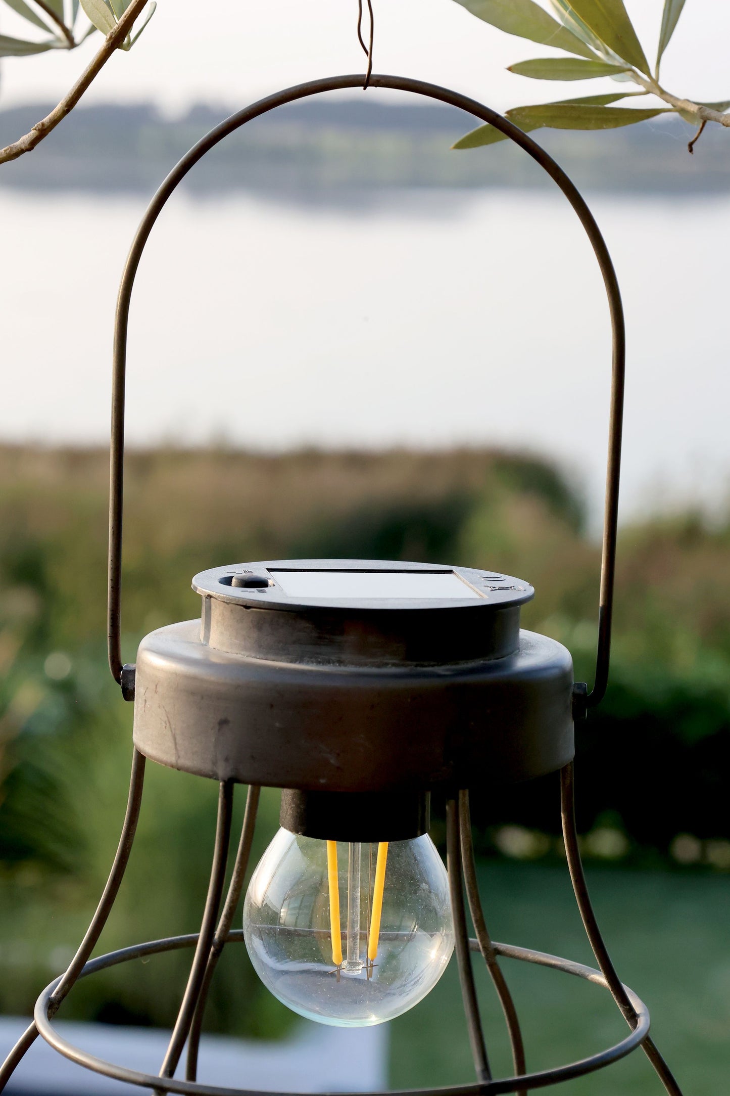 Solarlaterne LED Glühbirne von Chic Antique