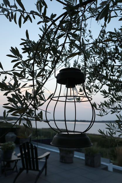 Solarlaterne LED Glühbirne von Chic Antique