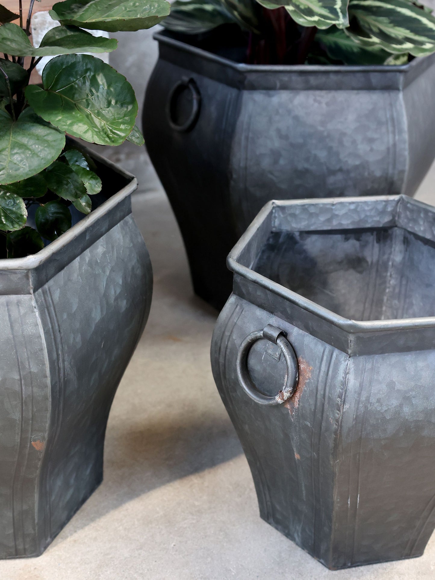 Blumentopf mit Henkel von Chic Antique