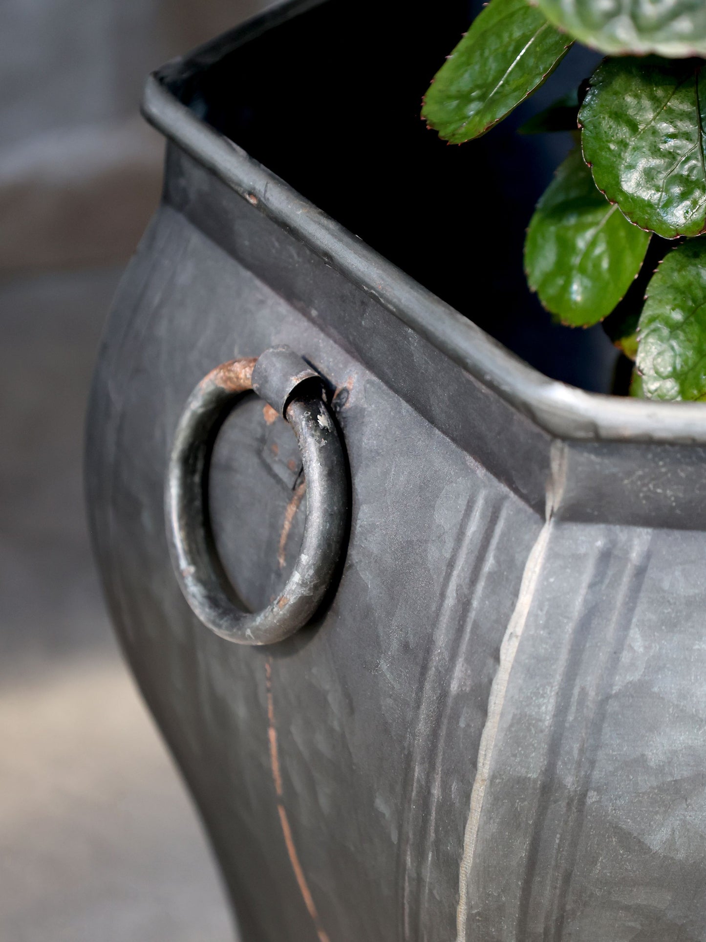 Blumentopf mit Henkel von Chic Antique